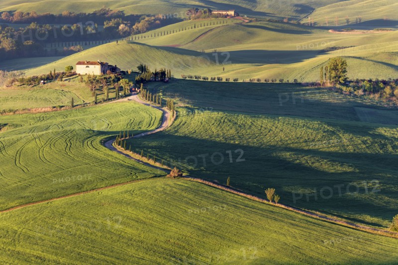 Landscape with green hills