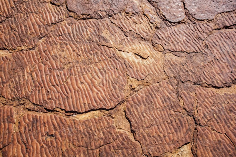 Close up of rock from canyon