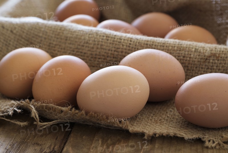 Fresh animal eggs on wood.
