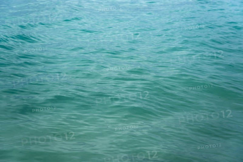 Rippled sea surface
