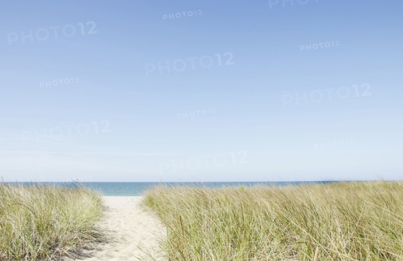 Footpath leading to sandy beach