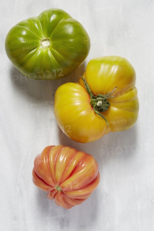 Tomatoes on white background