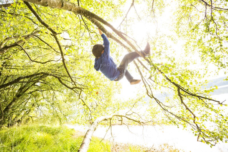 Boy (6-7) hanging on branch