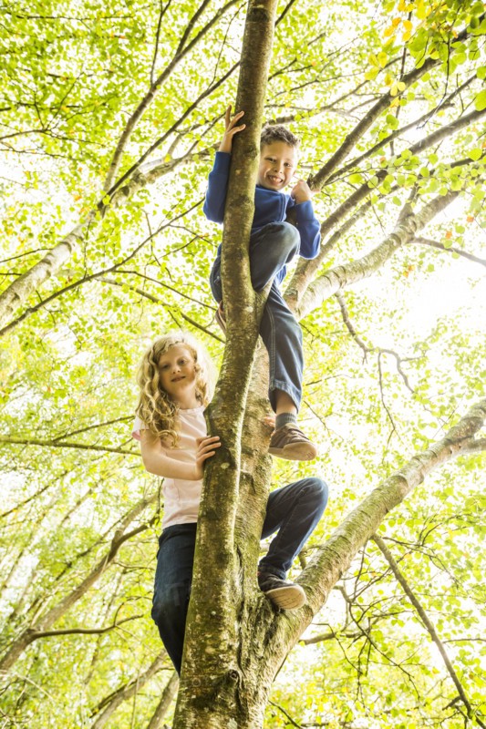 Boy (6-7) and girl (8-9) climbing tree