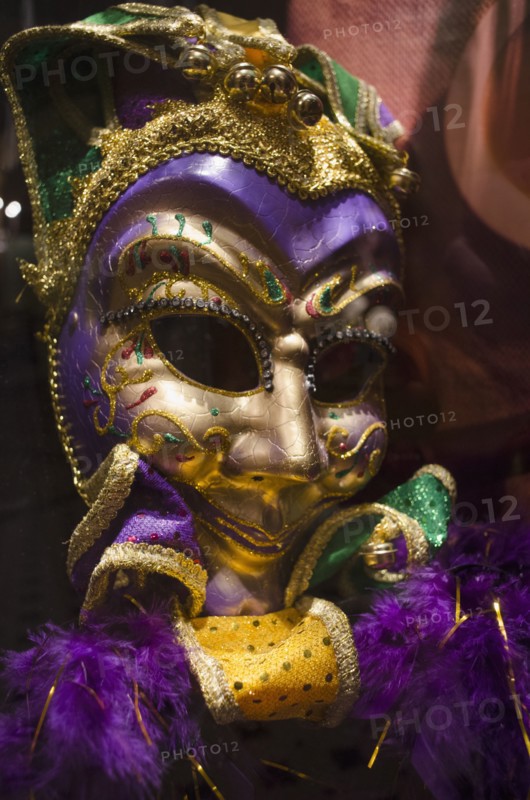 Mardi Gras mask