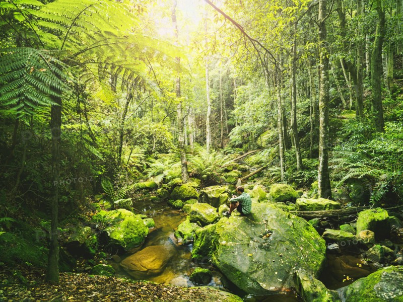 Mid adult man sitting on rock in green forest