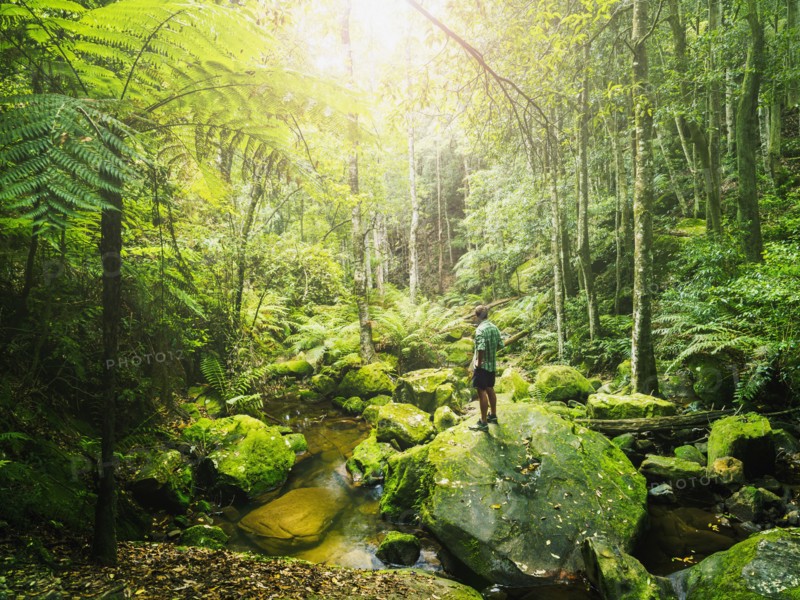 Mid adult man standing on rock in green forest