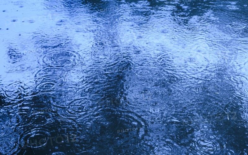 Rippled pond on rainy day.