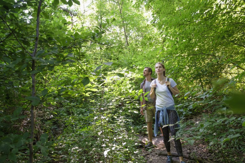 Couple standing in woodlands.