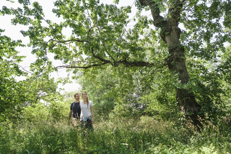 Couple hiking in forest.