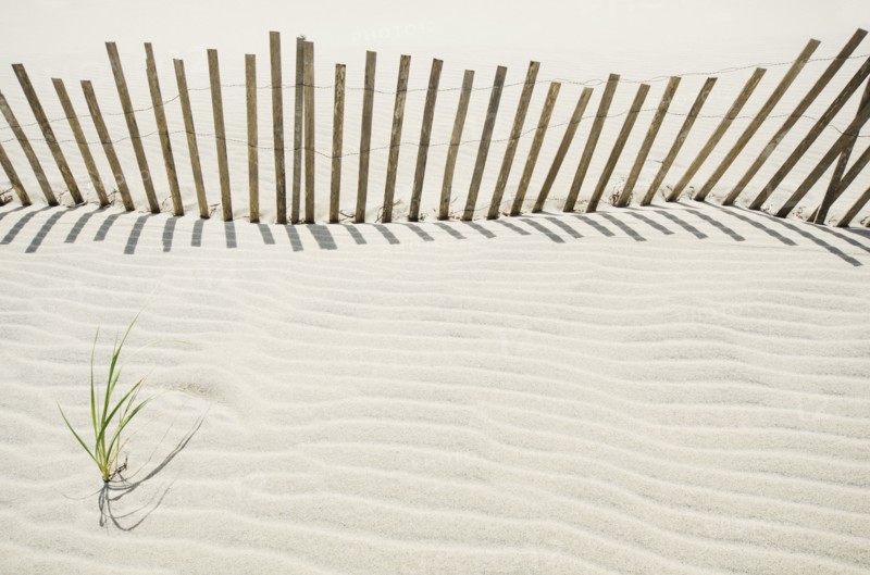 Massachusetts, Nantucket Island, Sand fence on beach