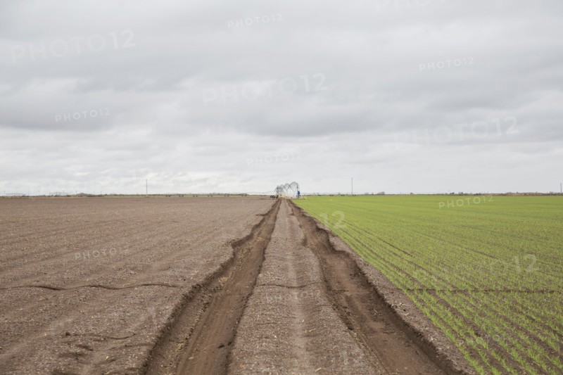 Tire tracks in field
