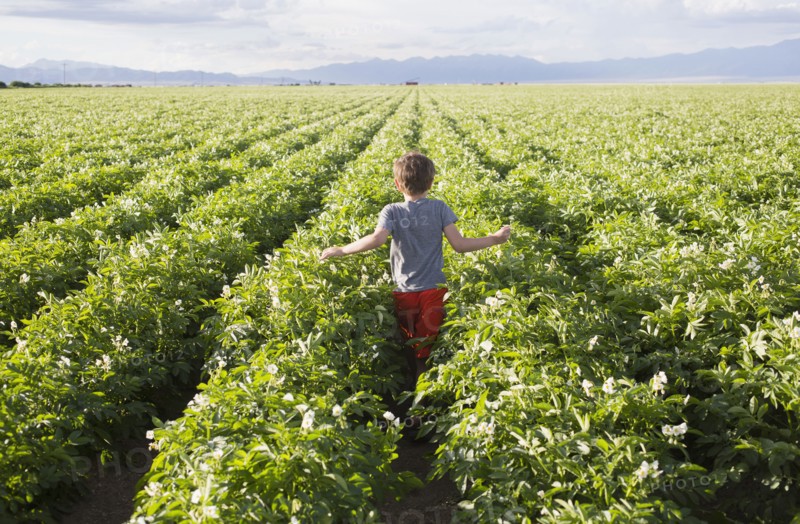 Boy (6-7) walking in field