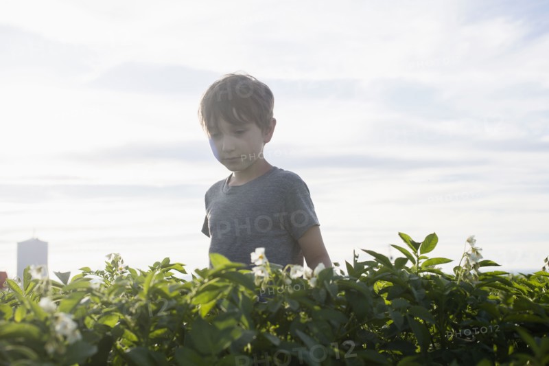 Boy (6-7) walking in field