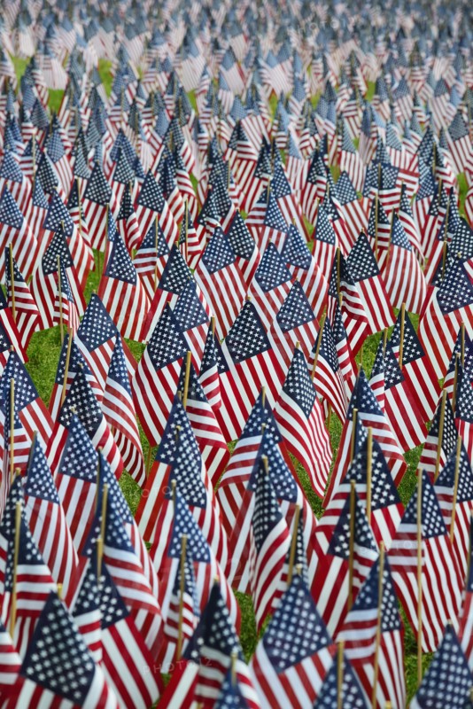 Massachusetts, Boston, American flags on Boston Common