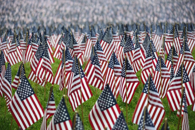 Massachusetts, Boston, American flags on Boston Common