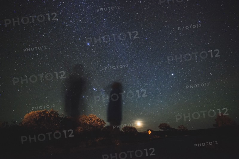 Australia, Outback, Northern Territory, Red Centre, West Macdonnel Ranges, Kings Canyon, Trees in plain on starry night