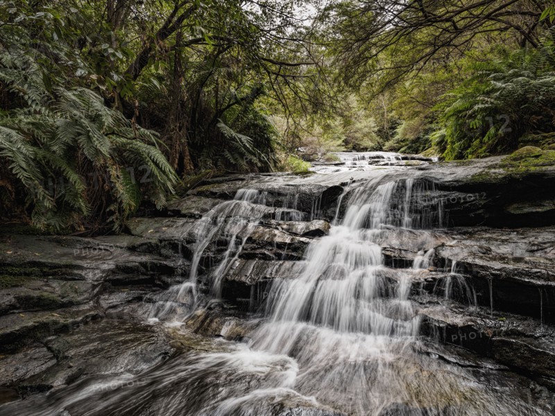 Australia, New South Wales, Blue Mountains National Park, Leura Cascades, Waterfall in forest