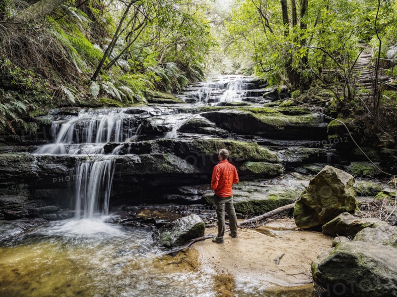 Australia, New South Wales, Blue Mountains National Park, Leura Cascades, Young man standing by waterfall in forest