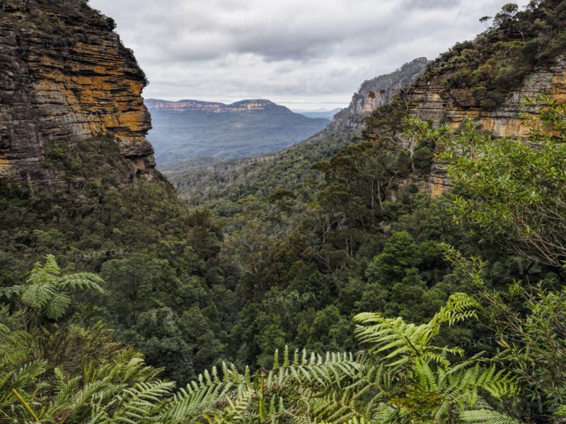 Australia, New South Wales, Blue Mountains National Park, Jamison Valley, Forest covered valley in rocky mountains