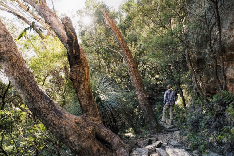 Australia, New South Wales, Blue Mountains National Park, Mature woman walking through mountain rainforest
