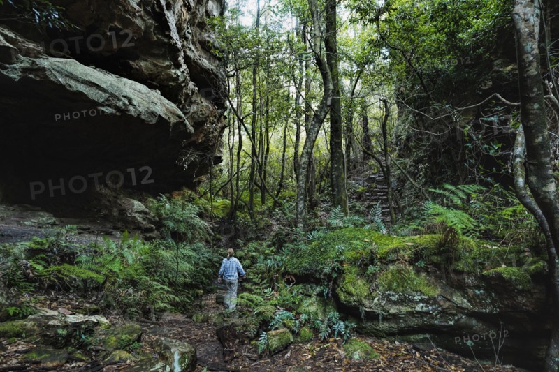 Australia, New South Wales, Blue Mountains National Park, Mature woman walking through mountain rainforest