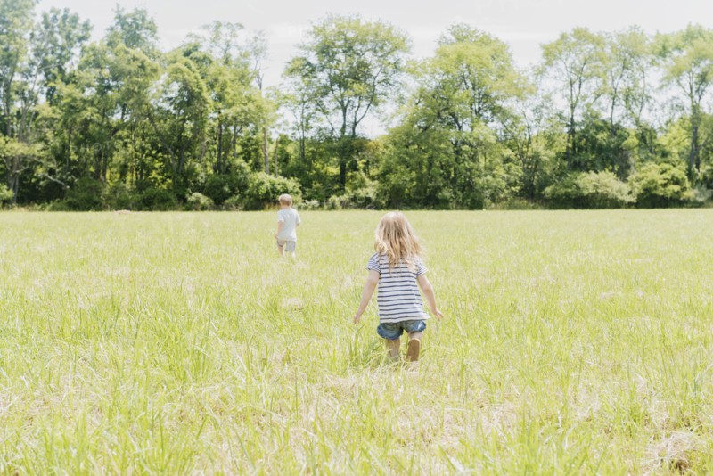 USA, Pennsylvania, Washington Crossing, Children (2-3, 4-5) walking on green field