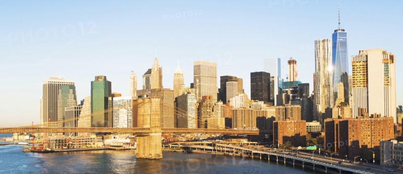USA, New York State, New York City, Manhattan, City skyline with Brooklyn Bridge