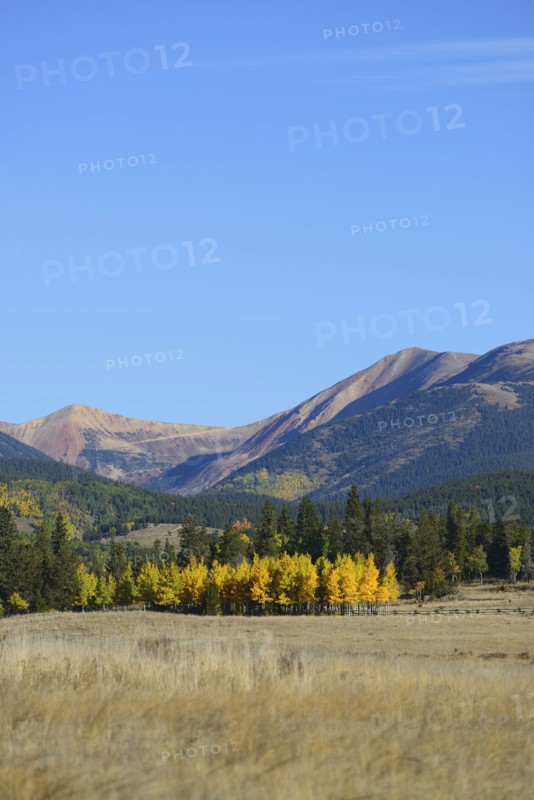 USA, Colorado, Kenosha Pass in fall
