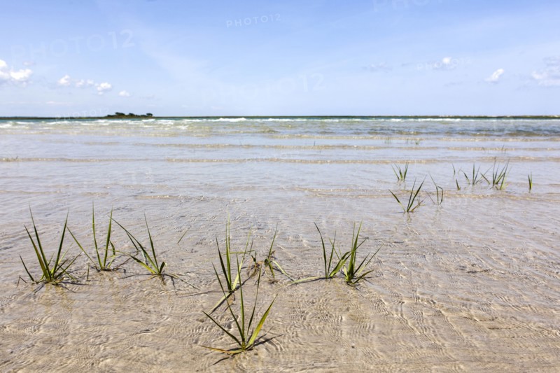Beautiful ocean landscape