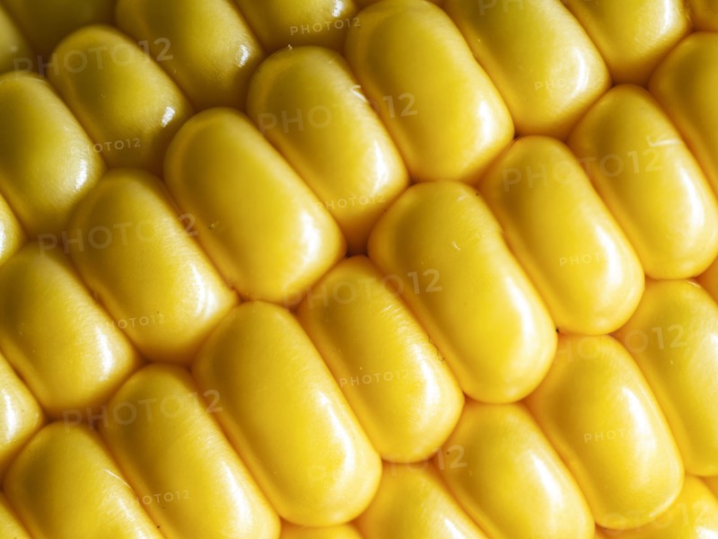 Close up of corn