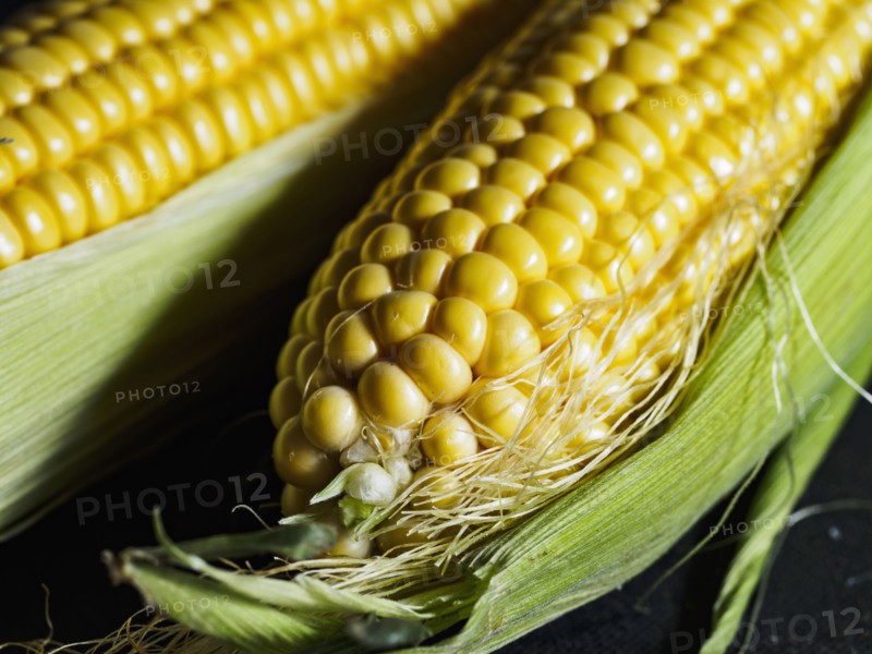 Close up of corn