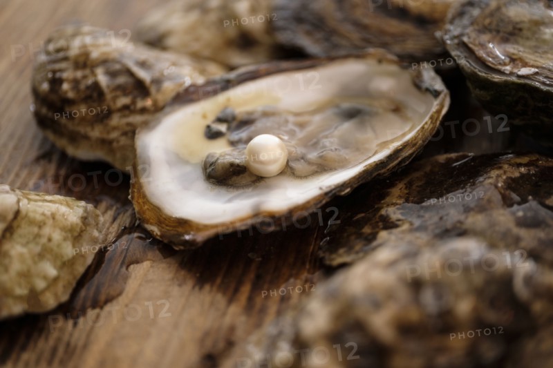 Pearl inside oyster shell.