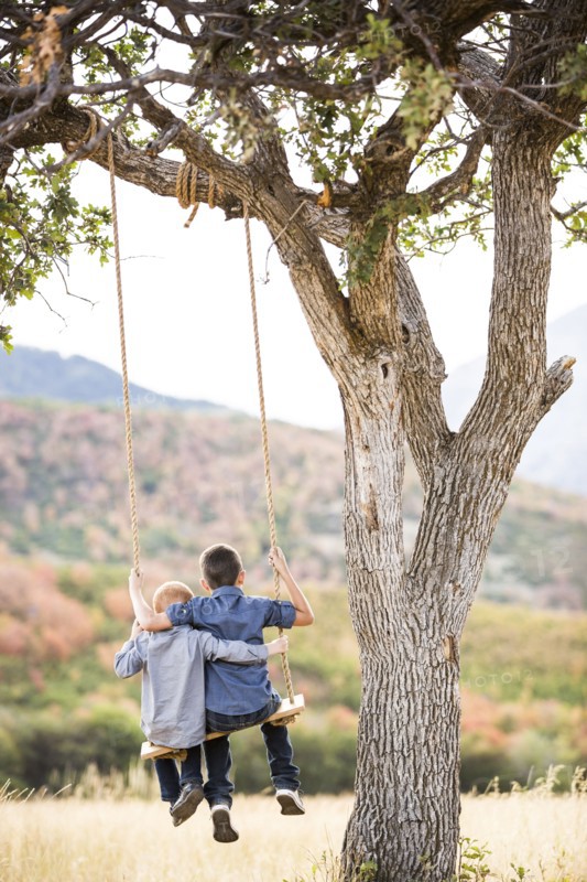 Two boys (4-5, 6-7) sitting on swing
