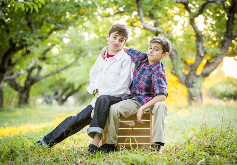 Smiling brothers embracing in cherry orchard
