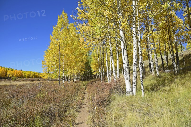 USA, Colorado, Kenosha Pass on sunny day