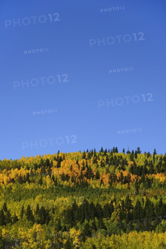 USA, Colorado, Scenic view of Kenosha Pass with blue sky