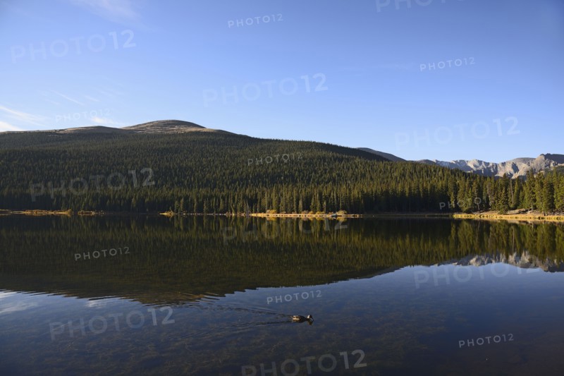 USA, Colorado, Mount Evans and forest reflecting in Echo Lake