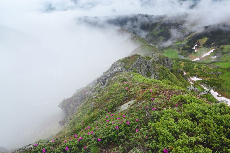 Ukraine, Zakarpattia, Rakhiv district, Carpathians, Maramures, Mountain landscape