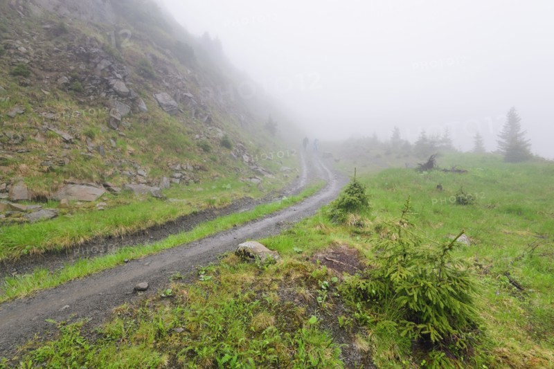 Ukraine, Zakarpattia, Rakhiv district, Carpathians, Maramures, Hiking trail in rolling landscape