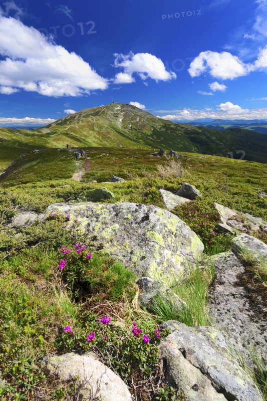Ukraine, Ivano-Frankivsk region, Verkhovyna district, Carpathians, Chernohora, Mountain landscape on sunny day