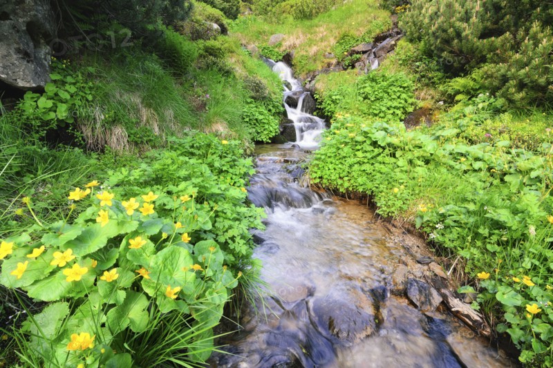 Ukraine, Ivano-Frankivsk region, Verkhovyna district, Carpathians, Dzembronskie waterfalls
