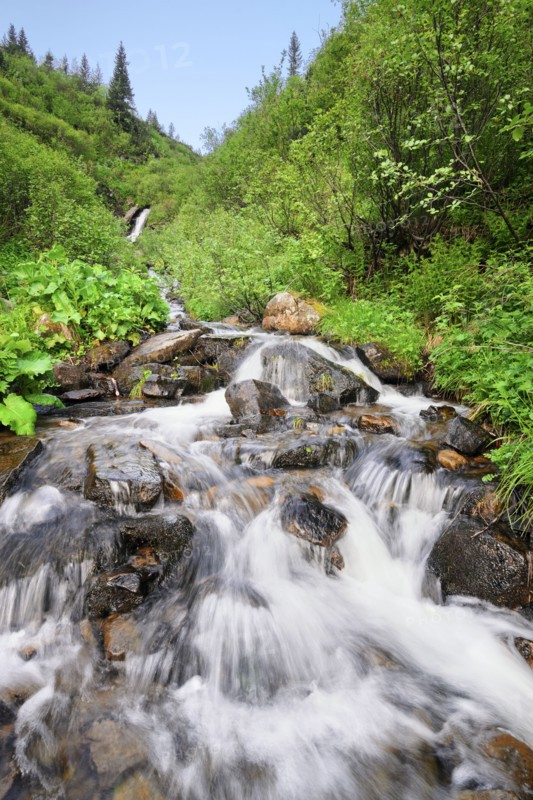 Ukraine, Ivano-Frankivsk region, Verkhovyna district, Carpathians, Dzembronskie waterfalls