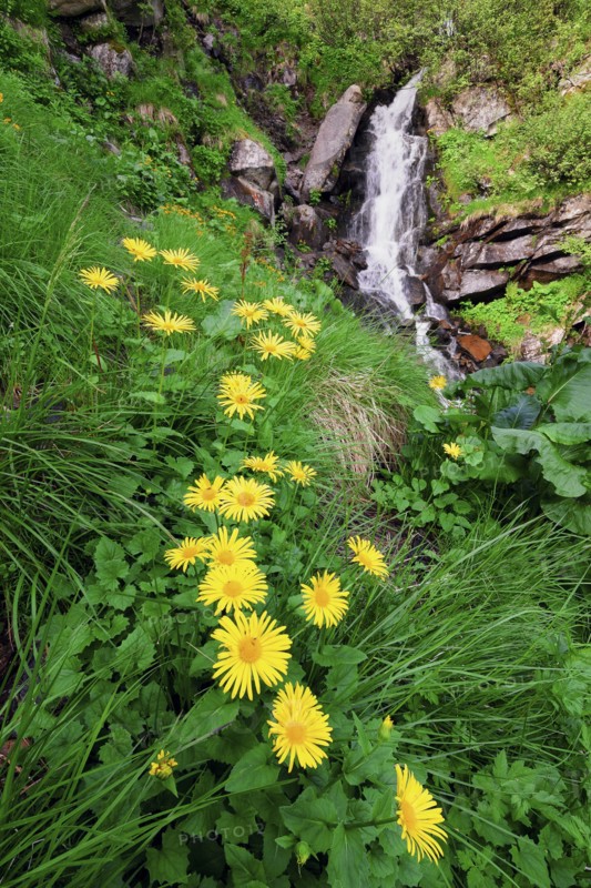 Ukraine, Ivano-Frankivsk region, Verkhovyna district, Carpathians, Dzembronskie waterfalls