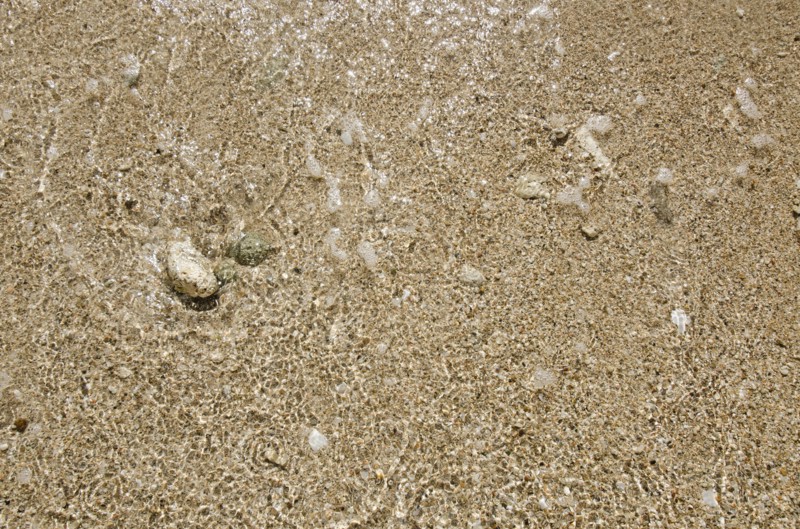 Puerto Rico, Coco Beach, Sand with stones and shells