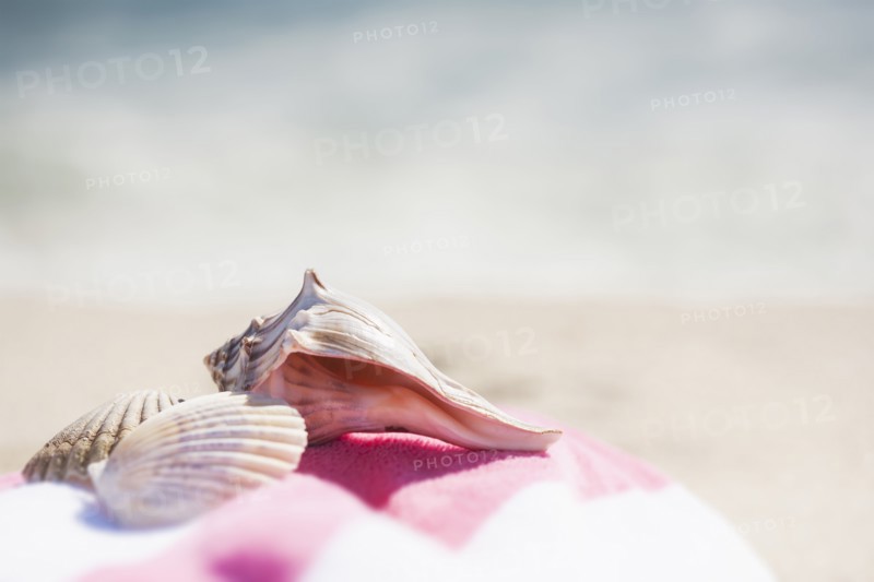 Close up of sea shells and beach towel on beach