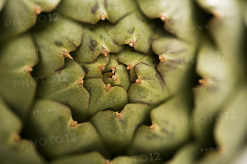 Close-up of green artichoke
