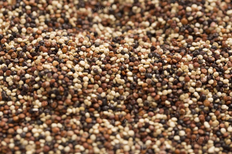 Close-up of quinoa