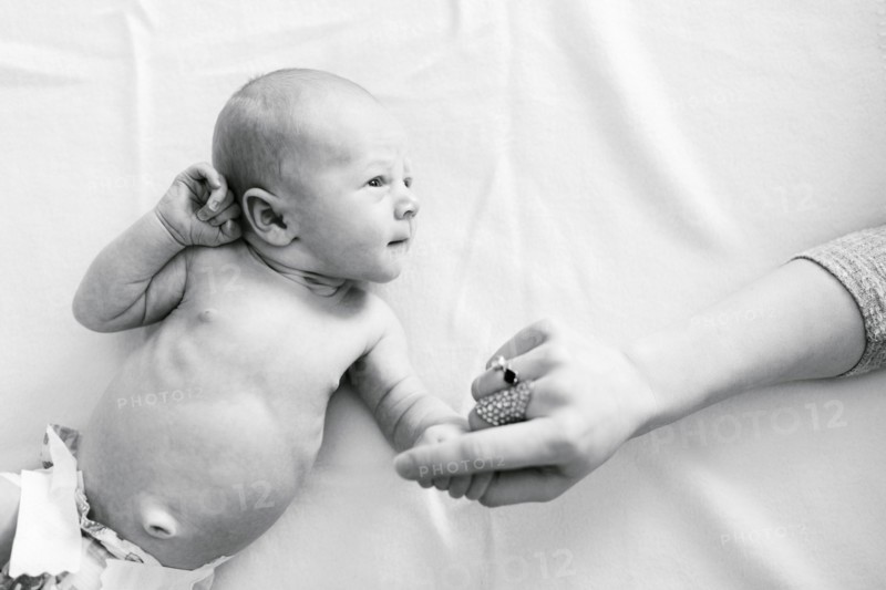 Portrait of newborn boy ( 0-1 months ) holding mother's hand
