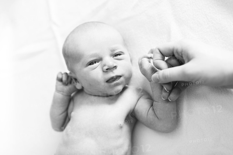Portrait of newborn boy ( 0-1 months ) holding mother's hand